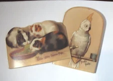 2 1991 B SHACKMAN & CO. CARD BOARD BKS. PRETTY POLLY & THREE LITTLE GUINEA-PIGS