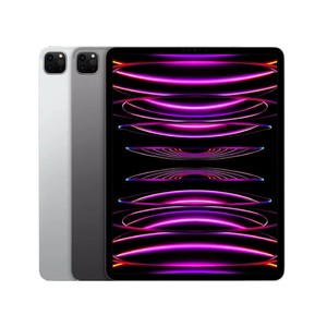iPad本体 MAX iPad Pro Max | eBay