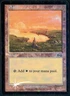 PLAINS [ARENA LEAGUE 1999 - PAL99] - FOIL MTG CARD [VERY GOOD]