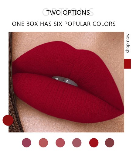 2024 6 pz Havenlyn Kit lucidalabbra liquido eterno opaco rossetto - Foto 6 di 9