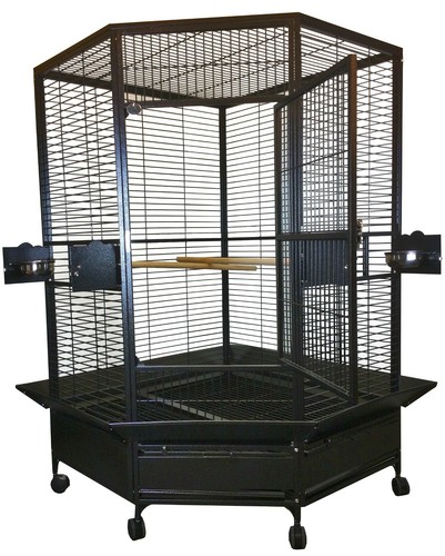 a&e extra large flight cage