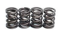 VENTILFEDERSATZ ROTAX 500/600, KIBBLEWHITE 91-9401 RACING
