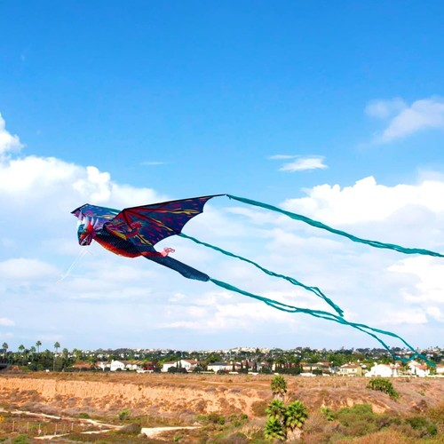 High-Performance 3D Nylon Kite - Three-Headed Dragon Design for Kids & Teens - Picture 8 of 10