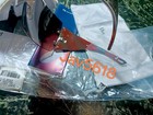 Bild 17 von 21