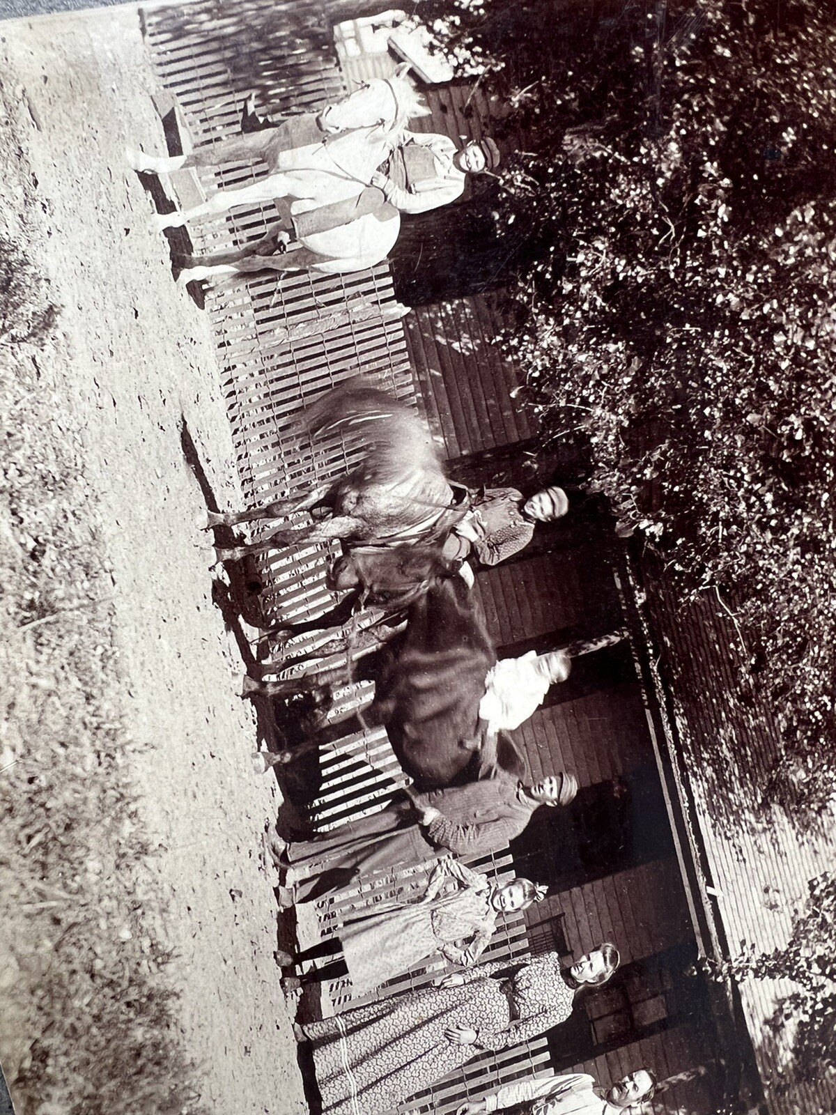 Picture 3 of 7