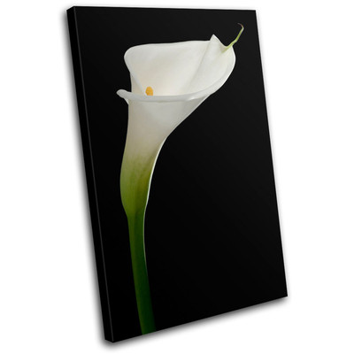 Calla Lily Flowers Floral SINGLE Leinwand Wand Kunst Bild drucken