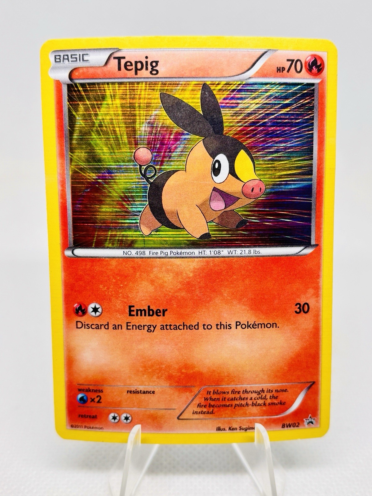 Tepig ⭐️ BW02 - 2011 Black & White - Holo Black Star Promo - Pokemon Card TCG