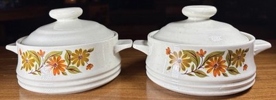 Two Vintage Capri  Bake Serve 'N Store Stoneware, Floral Design Oven to Table