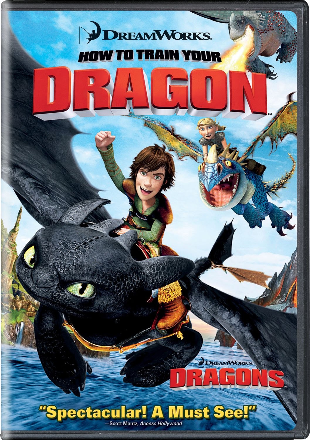 How to Train Your Dragon