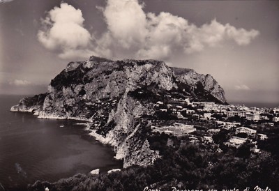 CAPRI - Panorama with Mule Tip 1952