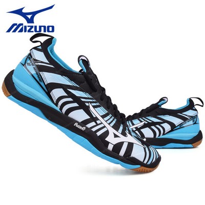 mizuno wave indoor