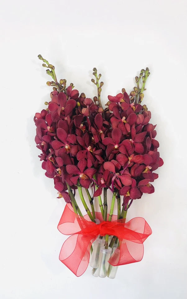 Caja de 5 racimos de orquídeas frescas de corte mokara rojo profundo Foto 3 de 4