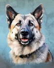 Norwegian Elkhound Print Dog Breed Poster Wall Art Pet Home Decor 8x10, 11x14