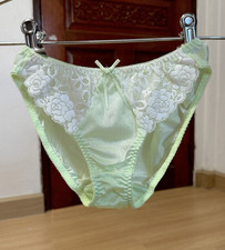 Vintage Silky Light Nylon Panty Sheer Floral Lace Sissy Bikini Hi Cut Brief Sz.5