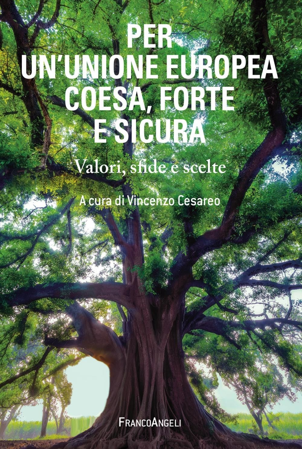 Винченцо Чезаре О союзе народов Европы, книга в мягкой обложке (ИМПОРТ из Великобритании)