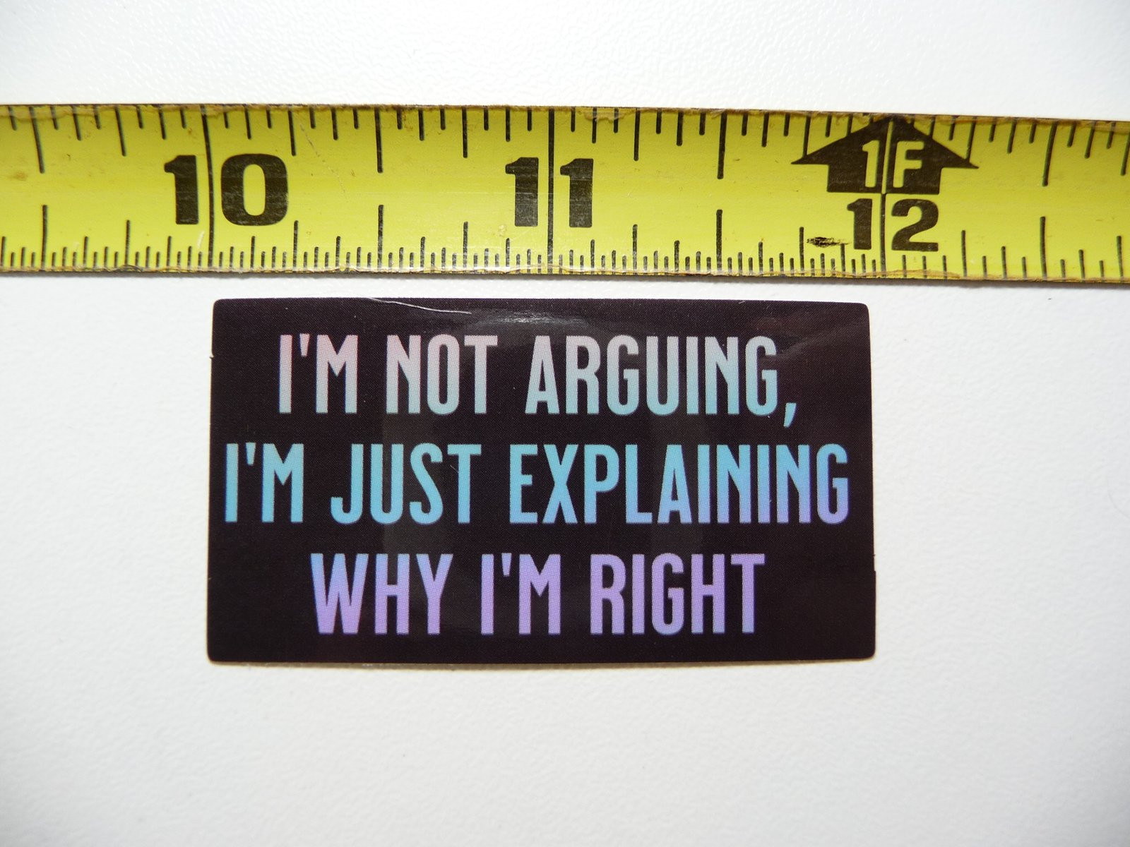 Funny Sarcastic “Not Arguing, Explaining Why I’m Right” Decal Sticker