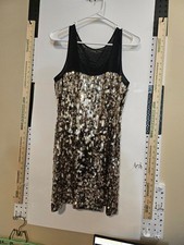 Express Sequin Sleeveless Dress