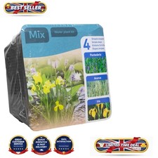 Waterplants Pond Kit: Includes Yellow Iris, Acorus & Purple Pontederia Plants