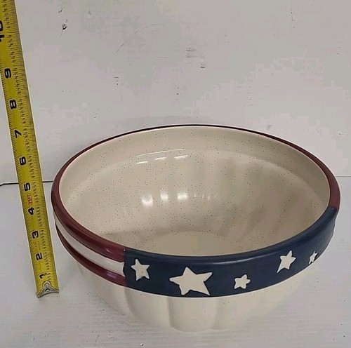 Americana ciotola ceramica 10 pollici lavabile in lavastoviglie/microonde - Foto 4 di 5