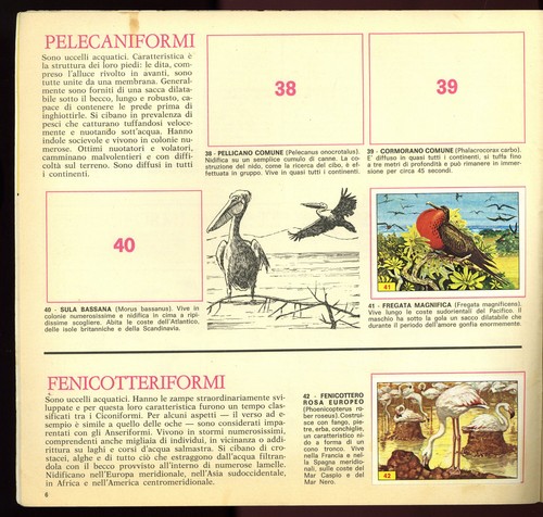album figurine UCCELLI 1978 panini - Imagen 3 de 4