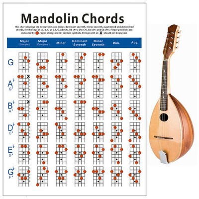  2 stücke Mandolin-Akkord-Diagramm Fingern-Diagramm Übungsdiagramm Kupfer-Platte