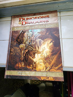Forgotten Realms Supplement Ser.: Forgotten Realms Player's Guide by Wizards RPG