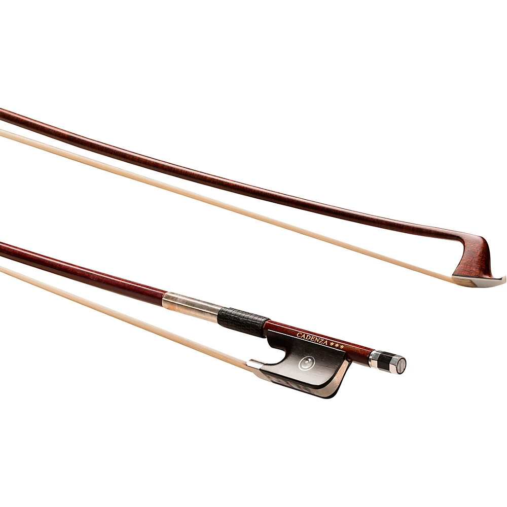 Eastman BC305 Cadenza 44 118590₽