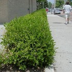 Picture 2 of 5