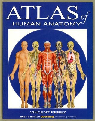 Atlas of Human Anatomy (2006) - QuickStudy Anatomical Guide by Vincent Perez   