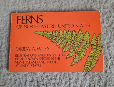 Ferns of Northeastern United States. Farida Wiley. Illustrated, 1973 Paperback.