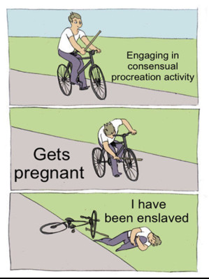 Bike Meme Pregnant Pro Life Anti Abortion 3x4 MetalFridge magnet 8608