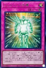 23PP-JP007 - Yugioh - Japanese - Protection of the Elements - Secret