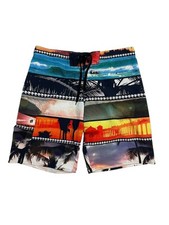 Hang Ten Board Shorts Mens Large Multicolor Surf Swim Trunks Beach Surfing Waves