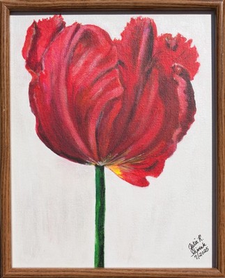 OOAK Painting 2025 ''RED TULIP'' 11'' x 14'' Acrylic on Canvas Panel, Signed, Framed