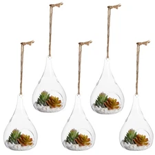 5-Pack Hanging Glass Terrarium Containers, Air Plant Holder (3.5x5 In)