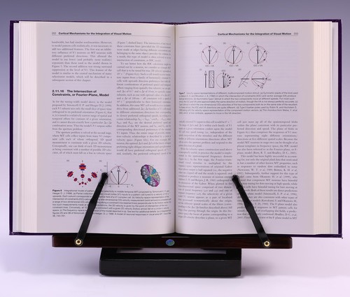 The Senses: A Comprehensive Reference, Volume 2; Basbaum - 第 3/5 張圖片
