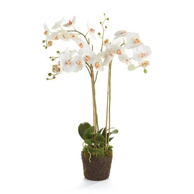 Phalaenopsis Orchid Drop-In 31''