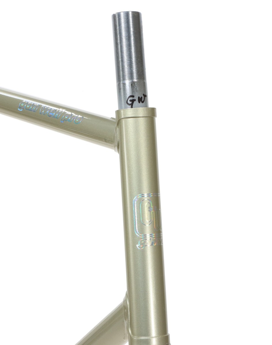 Gan Well Pro Track Fixed Gear Frameset NJS Gold 59cm 55.5cm TT New