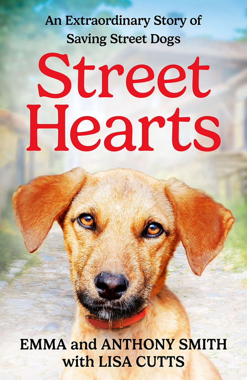 Street Hearts: An Extraordinary Story of Saving Street Dogs - Image 5