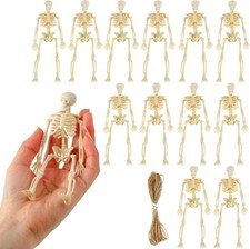 Mini Skeleton Figurines, 12Pcs 6 Inch Small Skeletons Halloween Decorations for