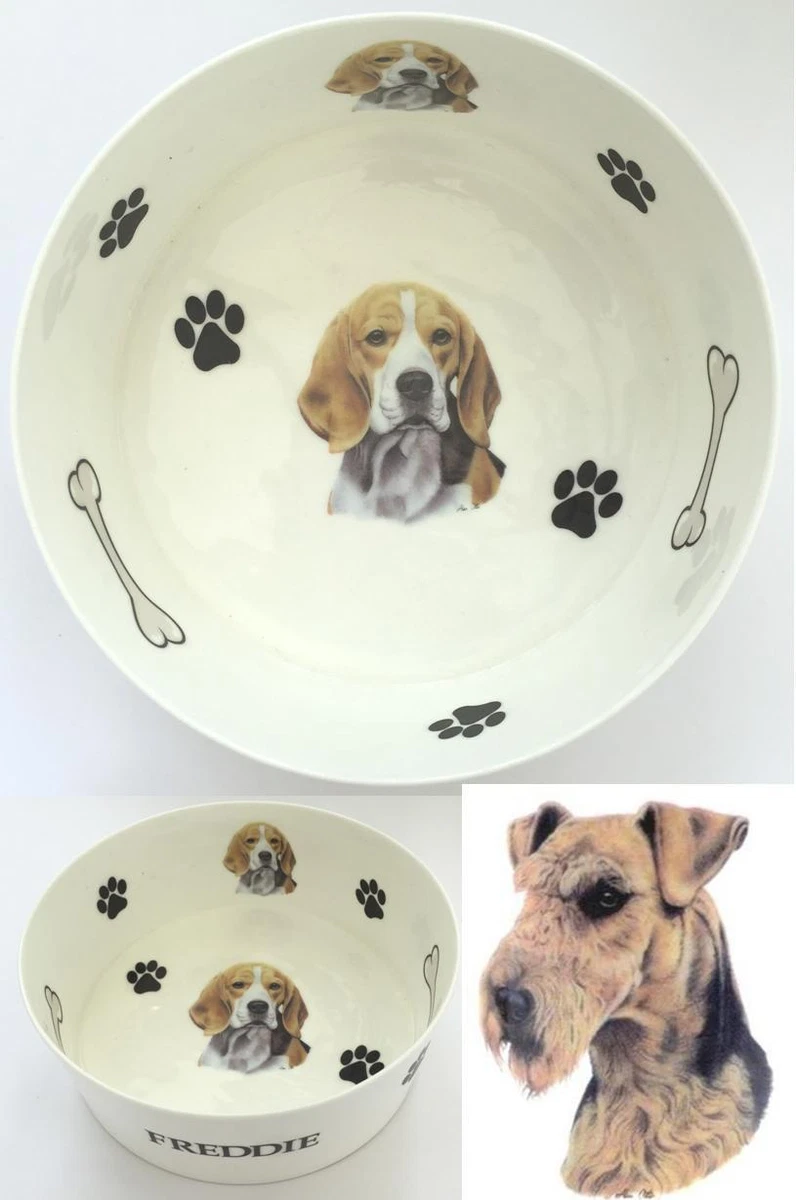 Dog bone water store bowl