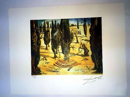 Salvador Dali Litografia off set cm 50x65 firma su lastra con certificato - Bild 2 von 9