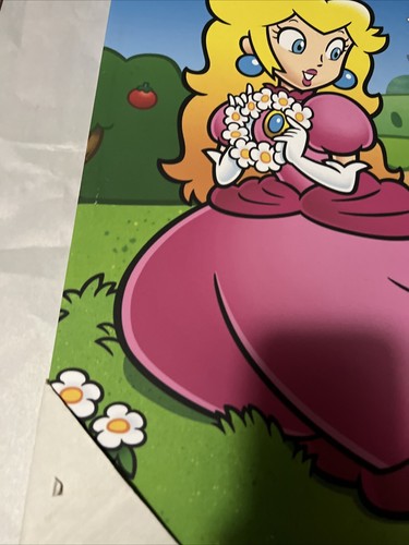 Princess Peach Super Mario Bros Canvas Art 20X16 Inches - 第 9/24 張圖片