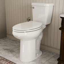 21" Extra Tall Toilet for Seniors, Elongated Bowl, 1.28 GPF, Soft-Close Seat