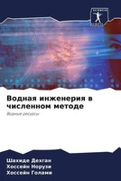 Shahide Dehgan (U. A.) | Vodnaq Inzheneriq W Chislennom Metode | Taschenbuch