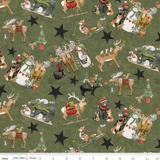Northern Christmas By Riley Blake Designs - Green Holiday Time C17830-G