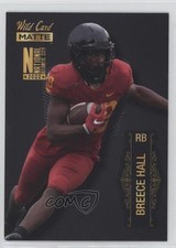 2022 Wild Card MATTE National Convention Football Breece Hall Rookie RC 18sc. rookie card picture