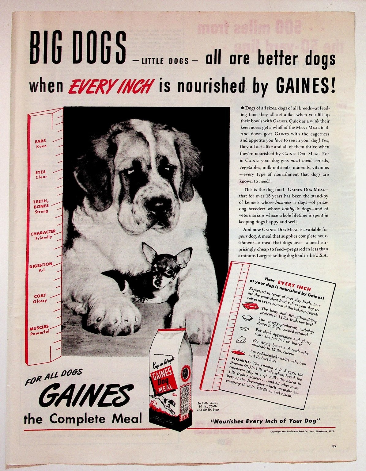 Gaines Dog Meal Ad Vintage 1944 Magazine Print Saint Bernard Chihuahua Pet Food