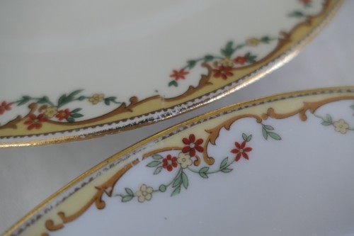 Vintage Limoges France VIGNAUD~The Meuse~9.5” DINNER PLATE! 8Available~EXCELLENT - Picture 11 of 20