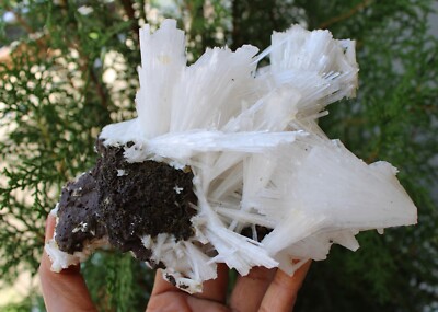 Scolecite Formation Natural Minerals Specimen #M58